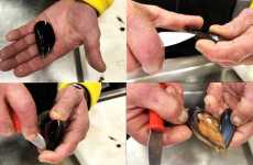 Aprire le cozze, mica facile: ecco tutti i passaggi per "spaccare" i mitili a regola d'arte 